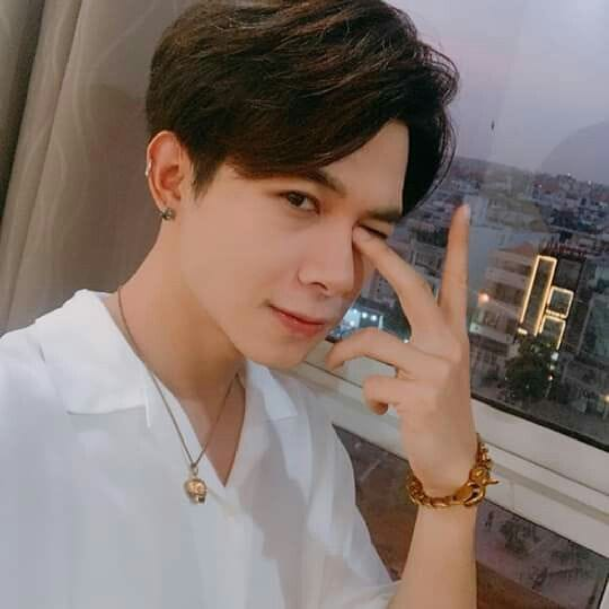 Anh Tú trong phim