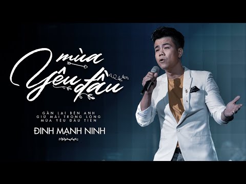 dinh-manh-ninh