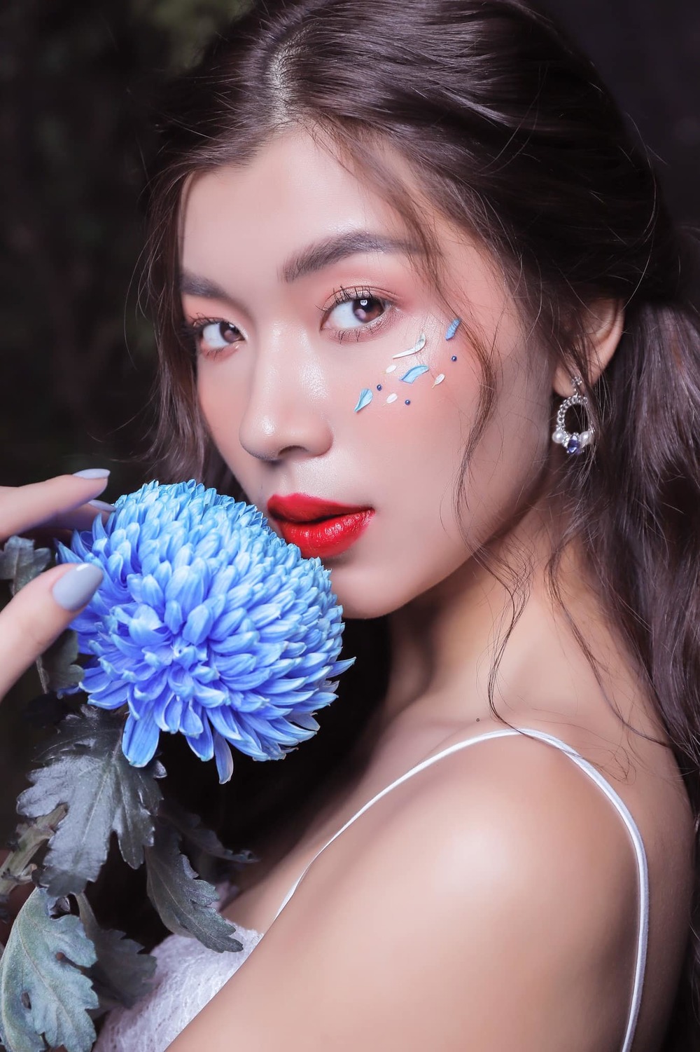 dong-anh-quynh