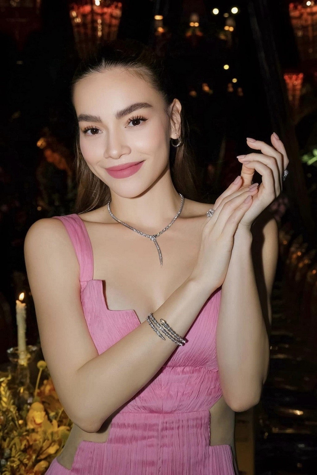 ho-ngoc-ha