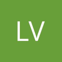 Le Dinh Long Vu