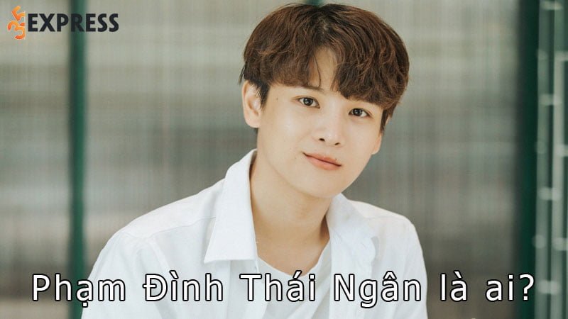 pham-dinh-thai-ngan