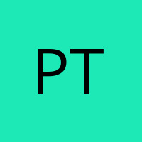 Pham Thi Thanh Tra