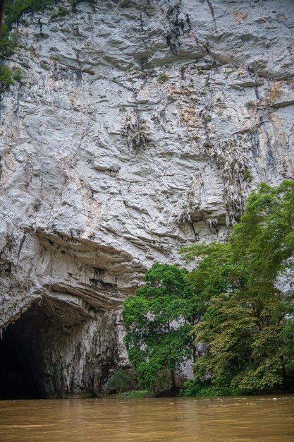 Phùng Thiệu Phong
