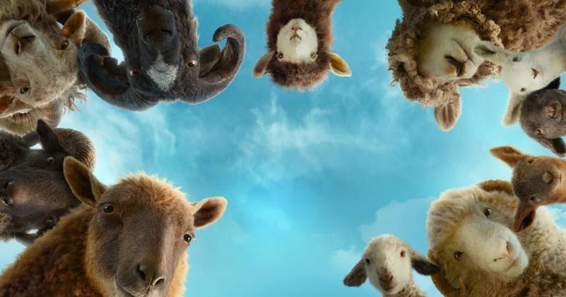 Review phim Đội Thám Tử Cừu: Án Mạng Lúc Nửa Đêm (The Sheep Detectives, 2026): Bầy cừu phá án — hài hước, thông minh và đầy cảm xúc